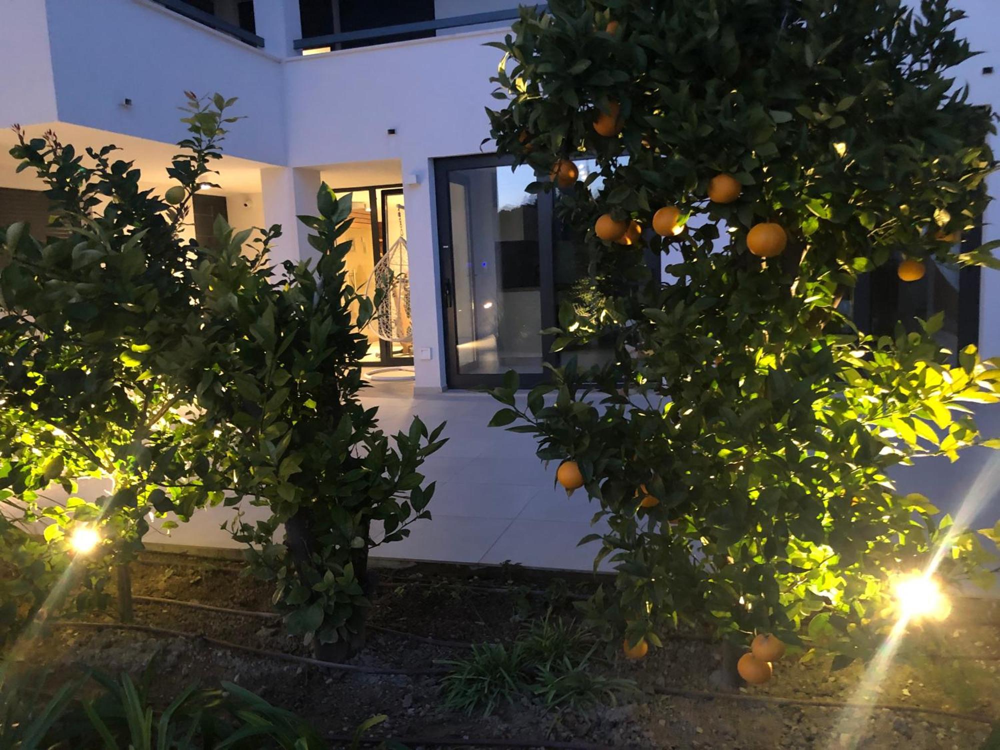 Apartments Villa Ladini Split Ngoại thất bức ảnh